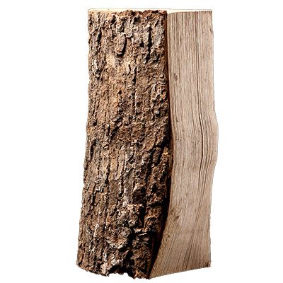 88 Netze kammergetrocknetes gespalten Esche Brennholz 25cm – Image 5