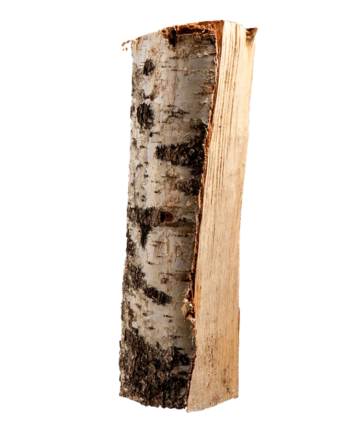 Halbe Palette kammergetrocknetes gespalten Birke Brennholz 25cm – Image 6