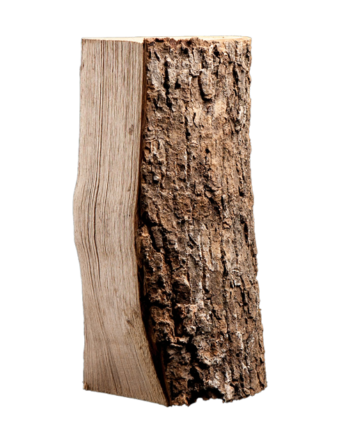 Palette kammergetrocknetes gespalten Esche Brennholz 25cm – Image 6